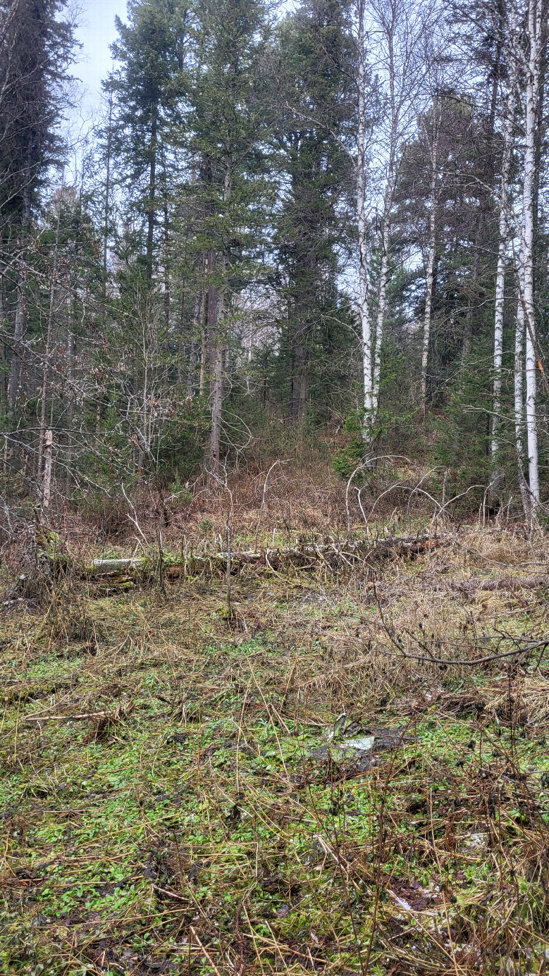 North / север