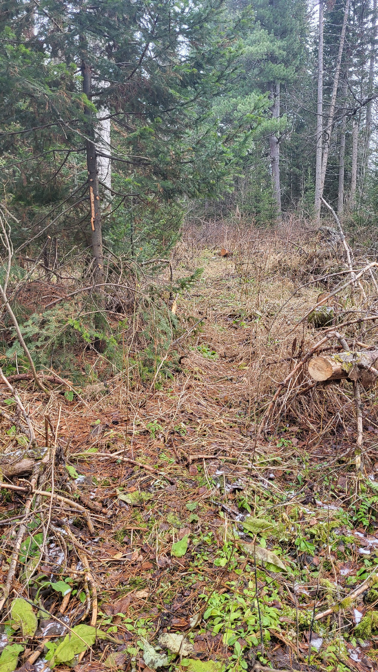 Loggers' trial / тропа лесорубов