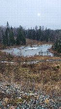 #11: Pond / водоём