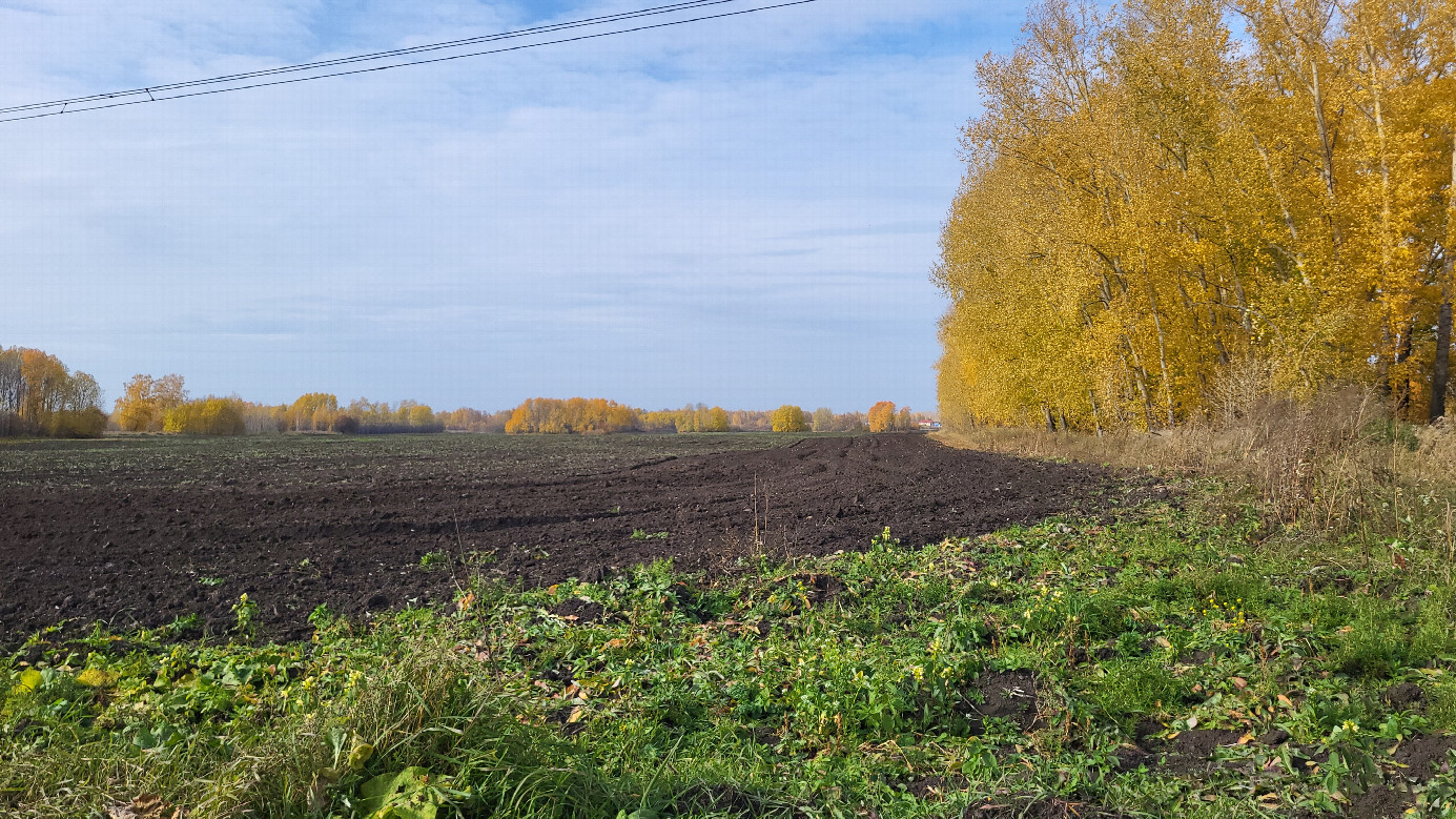 Осенний день / Autummn day