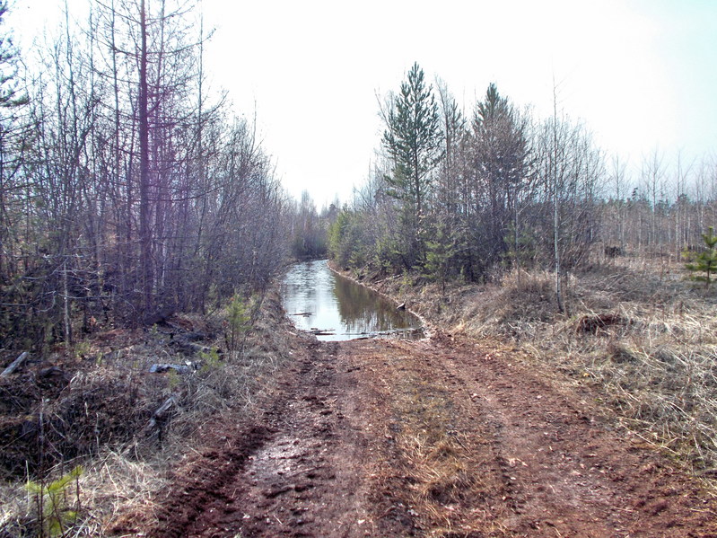 Лесовозная дорога/Timber truck road