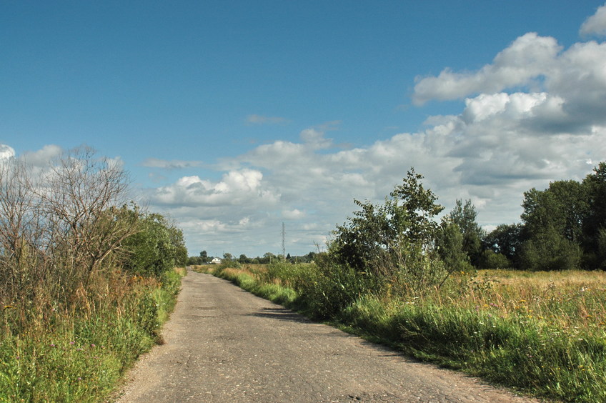 The road near CP/Дорога у точки