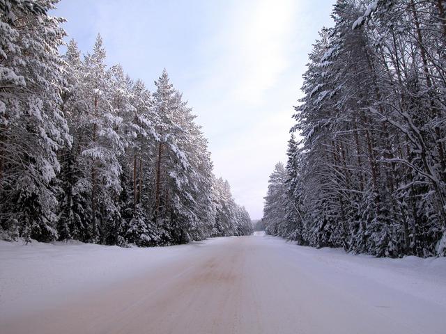 Winter road to Cheporovo