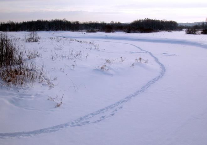 Our path on the Sara ice