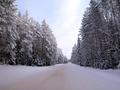 #2: Winter road to Cheporovo