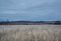 #6: The field, 150 m from the confluence