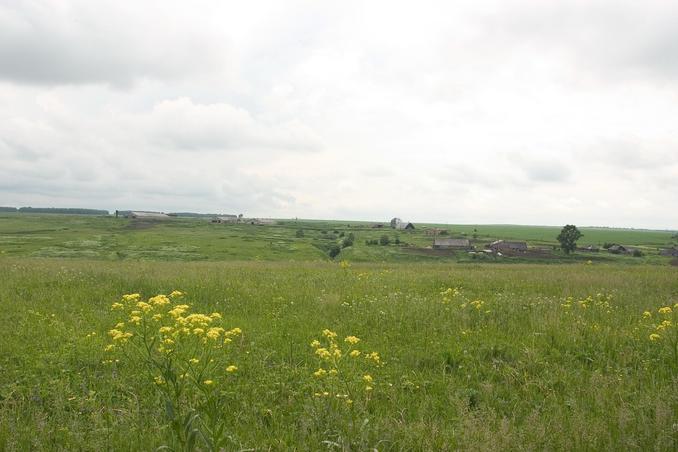 Вид на юг. Деревня Черемиска -- South view. Cheremiska village