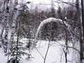 #4: Winter scenery