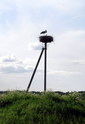 #7: Stork nest in Bol’shoy Zakhod