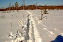 #10: Our ski path near the CP / Наша лыжня у точки