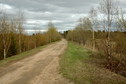 #6: The road to Pegusha village/Дорога к деревне Пегуша