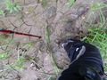 #6: Mud / Глина под ногами