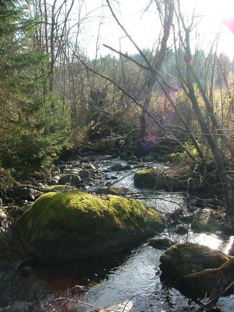 Ручей рядом с точкой -- Stream near the point