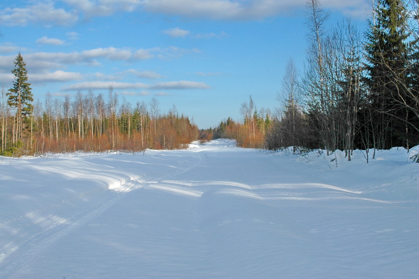 On the snowmobile trace