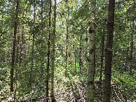 #2: North view
