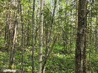 #3: East view