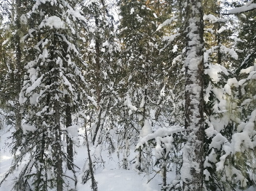 #1: North view