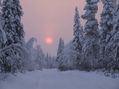 #7: Приполярное солнце / Arctic Sun