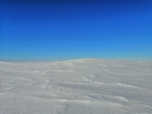 #1: North view