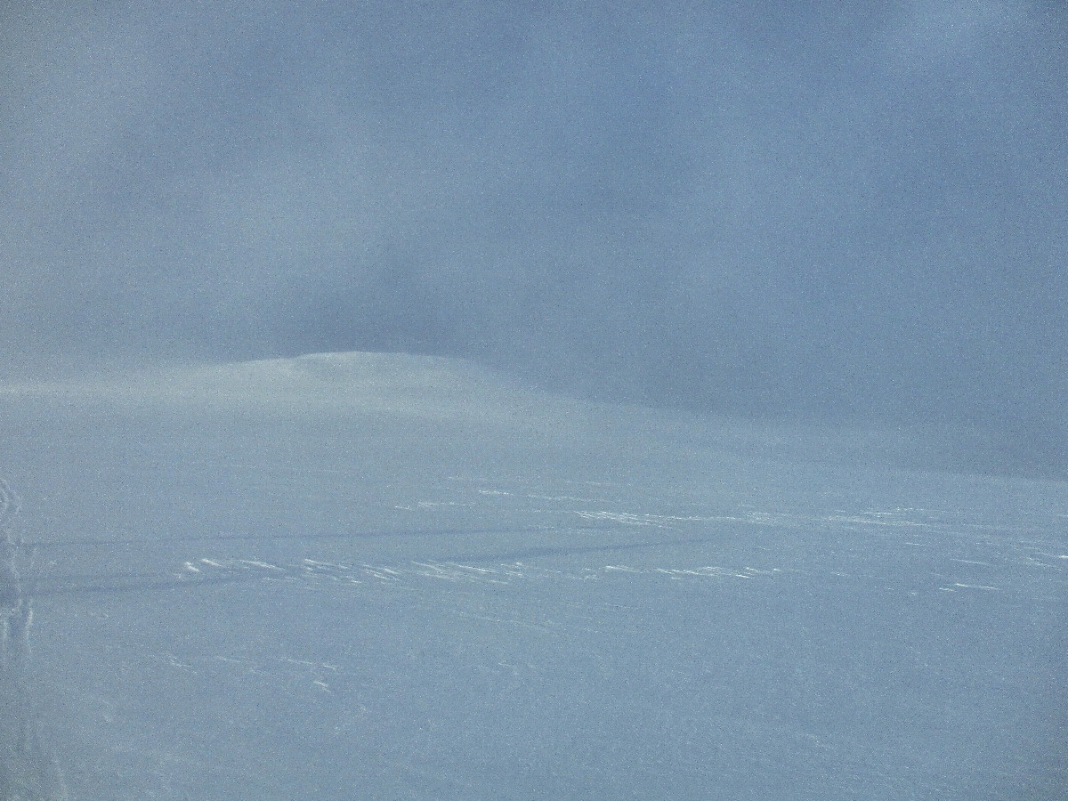 North view