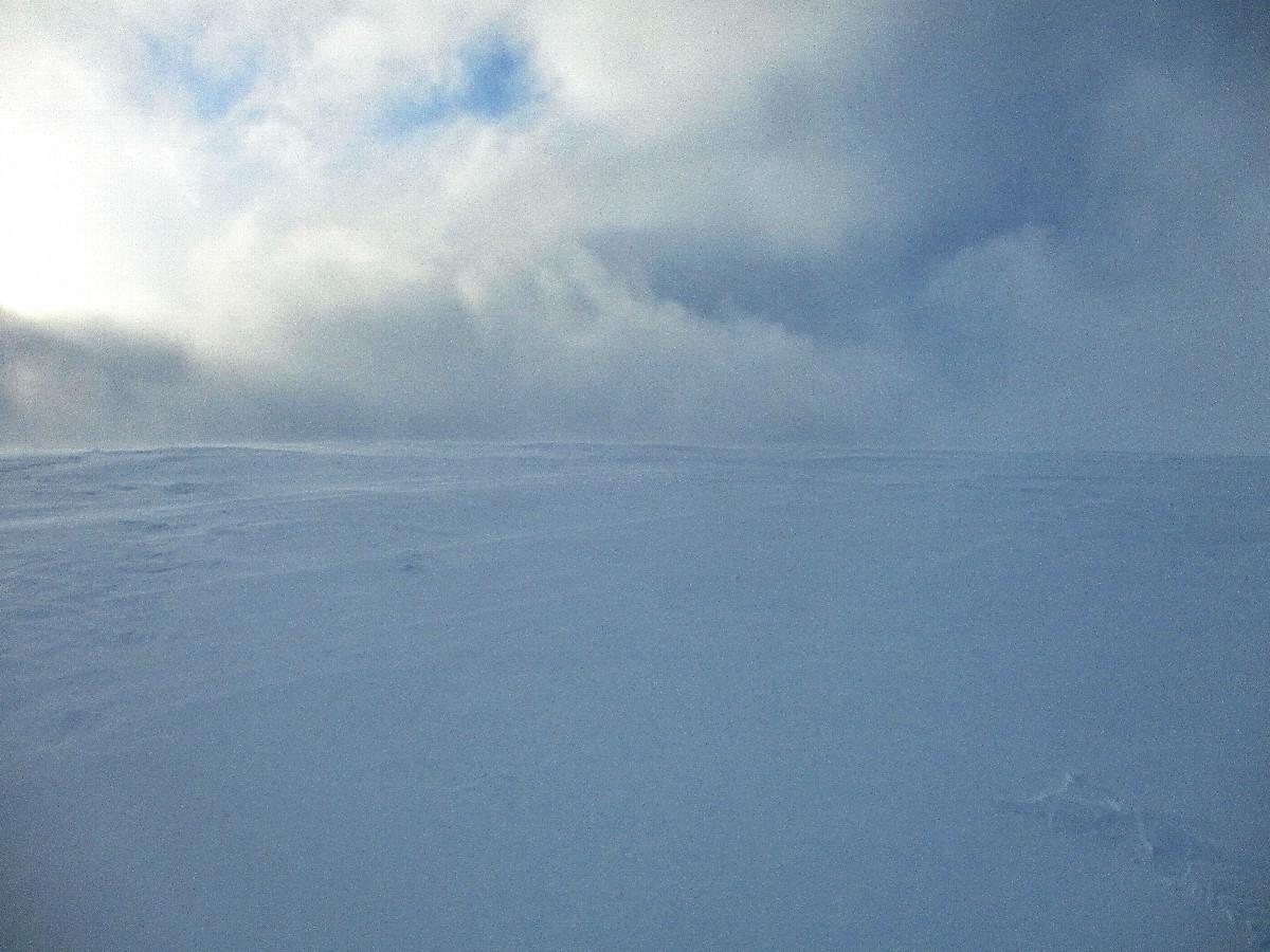 West view