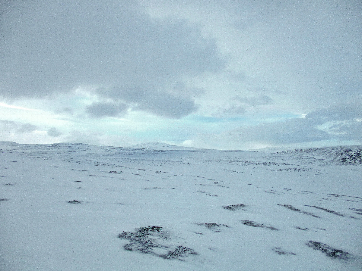 North view
