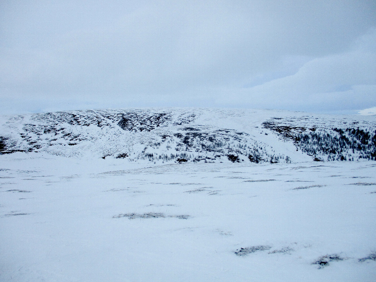 East view