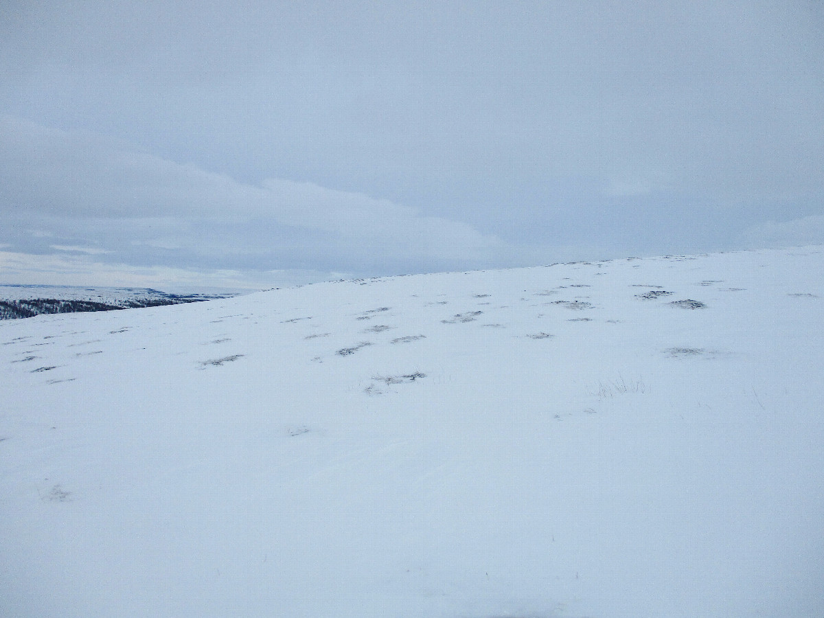 South view