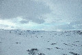 68°N 67°E preview image