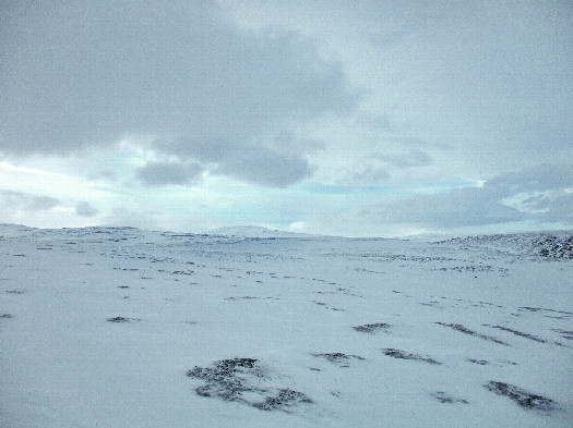#1: North view