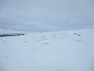 #3: South view