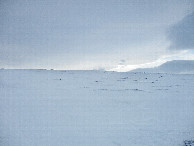 #4: West view