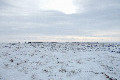 68°N 68°E preview image