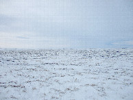 #2: South view