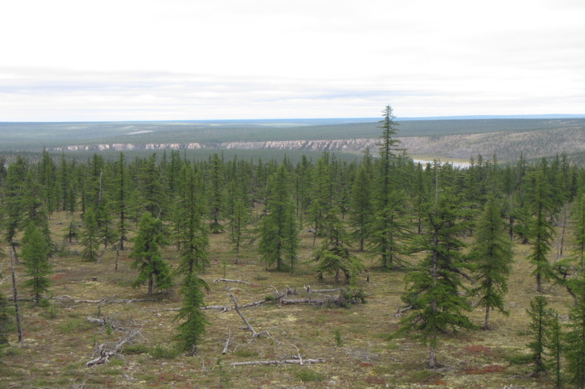 View of the Taiga from above