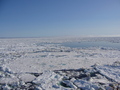 #3: View south: sea ice on the Barents Sea