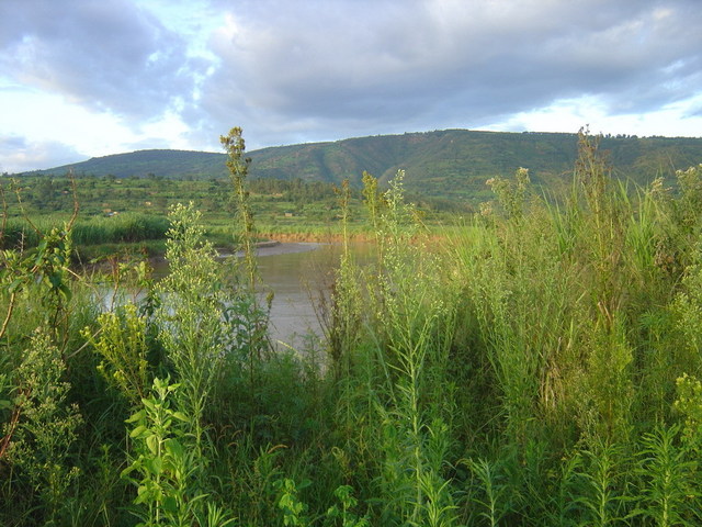 View of one of the thousands hills of Rwanda from the confluence point