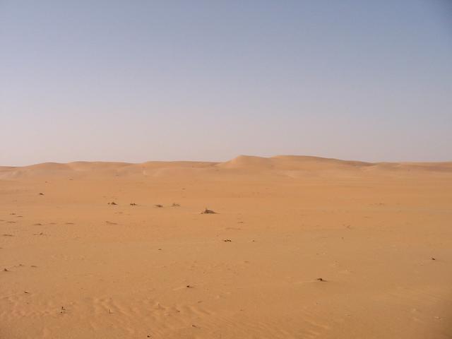 Looking north towards the dunes.