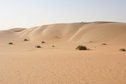 #2: More dunes - View south