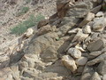 #8: General area of the confluence point