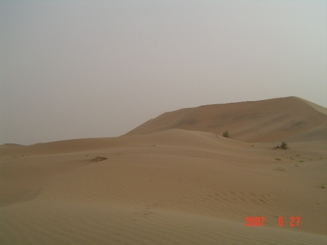 South view - Top of dune
