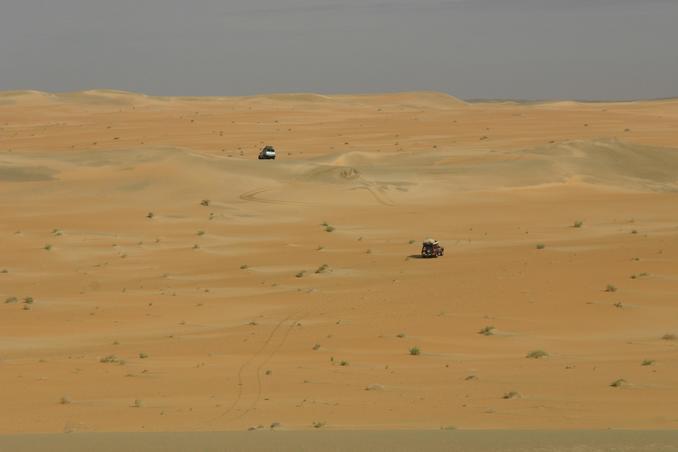 Dune line