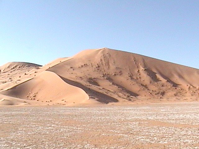 The dunes northwest of the point