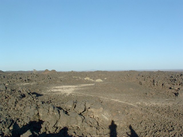 Rock fields