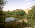 #4: Water ponds at the farming area