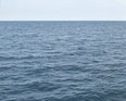 #4: View looking north into the gentle wind and subdued seas