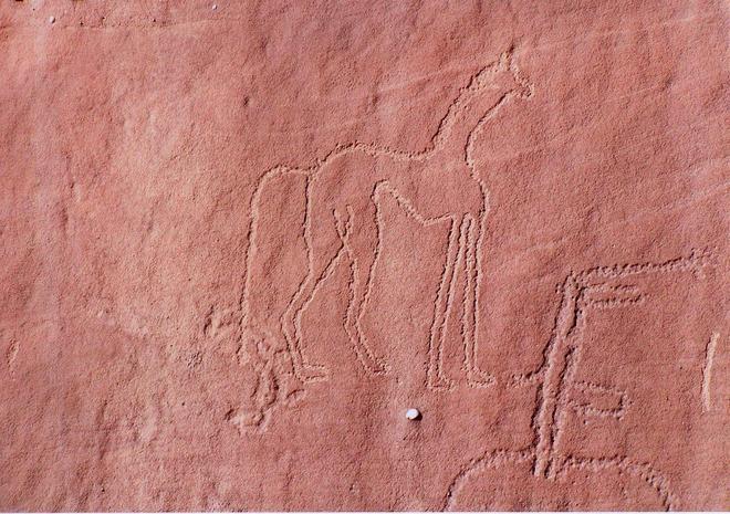 The horse petroglyph