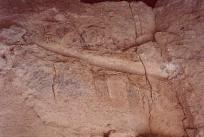 The print of a mammoth tusk in the rock