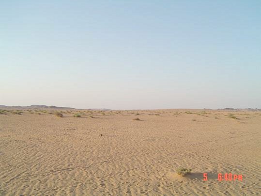 North view, where Abraq al-Badī` can be seen