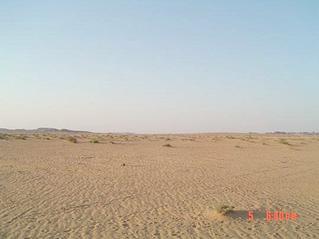 #1: North view, where Abraq al-Badī` can be seen